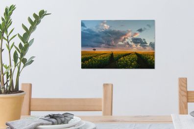 Leinwandbilder - 30x20 cm - Blumen - Gelb - Sonnenuntergang (Gr. 30x20 cm)
