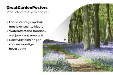 Gartenposter - 120x180 cm - Wald - Pfad - Wildblumen (Gr. 120x180 cm)