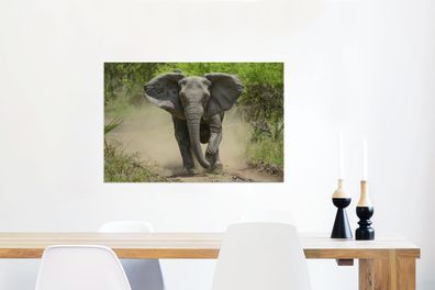 Glasbilder - 60x40 cm - Laufender Elefant (Gr. 60x40 cm)