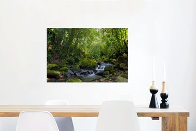 Glasbilder - 90x60 cm - Rainforest Creek (Gr. 90x60 cm)