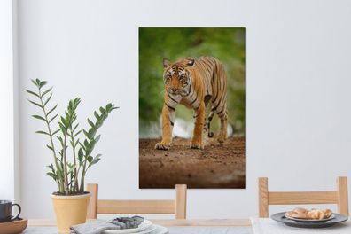 Leinwandbilder - 40x60 cm - Schleichender Tiger (Gr. 40x60 cm)