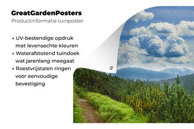 Gartenposter - 50x50 cm - Wald - Pfad - Berg (Gr. 50x50 cm)
