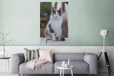 Glasbilder - 80x120 cm - Katze - Porträt - Tisch (Gr. 80x120 cm)