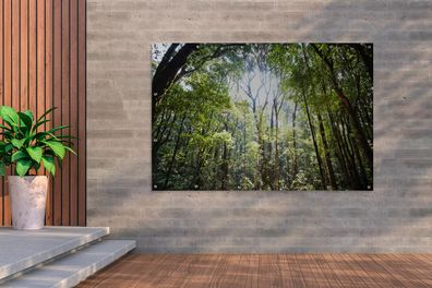 Gartenposter - 180x120 cm - Die Sonne scheint durch eine Öffnung im Regenwald in Thai