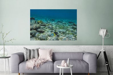 Glasbilder - 120x80 cm - Das Riff des Glover's Reef in Belize (Gr. 120x80 cm)