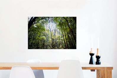 Leinwandbilder - 60x40 cm - Die Sonne scheint durch eine Öffnung im Regenwald in Thai