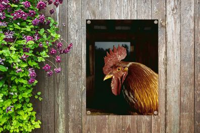 Gartenposter - 30x40 cm - Goldbrauner Hahn in einer Scheune (Gr. 30x40 cm)