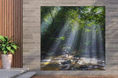 Gartenposter - 200x200 cm - Sonnenstrahlen dringen durch die Bäume in den Regenwald i