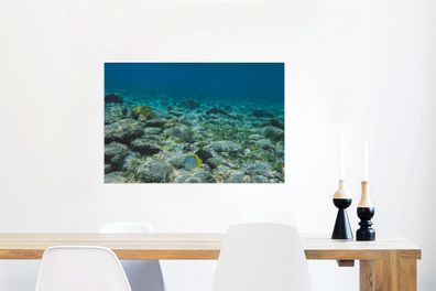 Glasbilder - 90x60 cm - Das Riff des Glover's Reef in Belize (Gr. 90x60 cm)
