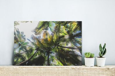 Glasbilder - 30x20 cm - Palmen im Glover's Reef von Belize (Gr. 30x20 cm)