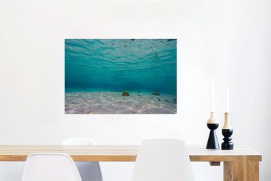 Glasbilder - 60x40 cm - Das wunderschöne Meer von Glover's Reef in Belize