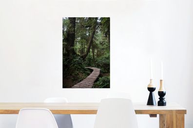 Glasbilder - 60x90 cm - Holzbrücke in den moosbewachsenen Wäldern von Costa Rica