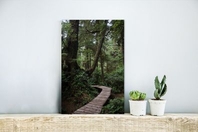 Glasbilder - 20x30 cm - Holzbrücke in den moosbewachsenen Wäldern von Costa Rica