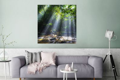 Glasbilder - 90x90 cm - Sonnenstrahlen dringen durch die Bäume in den Regenwald in Ma