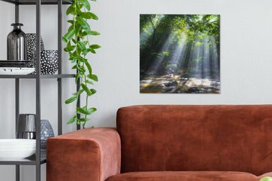 Leinwandbilder - 50x50 cm - Sonnenstrahlen dringen durch die Bäume in den Regenwald i