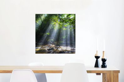 Glasbilder - 50x50 cm - Sonnenstrahlen dringen durch die Bäume in den Regenwald in Ma