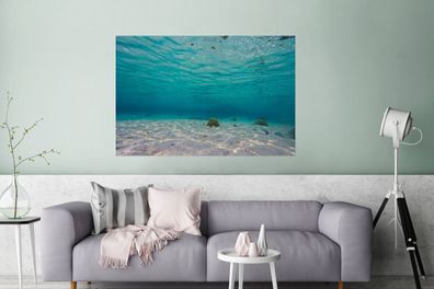 Glasbilder - 120x80 cm - Das wunderschöne Meer von Glover's Reef in Belize