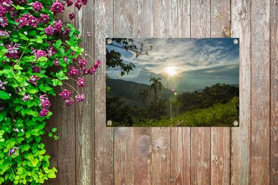Gartenposter - 60x40 cm - Glühende Sonne strahlt auf Perus dichte Regenwälder