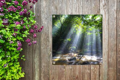 Gartenposter - 100x100 cm - Sonnenstrahlen dringen durch die Bäume in den Regenwald i