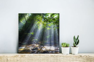 Glasbilder - 20x20 cm - Sonnenstrahlen dringen durch die Bäume in den Regenwald in Ma