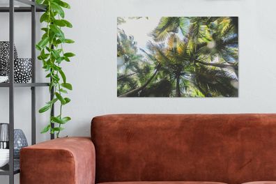 Leinwandbilder - 90x60 cm - Palmen im Glover's Reef von Belize (Gr. 90x60 cm)
