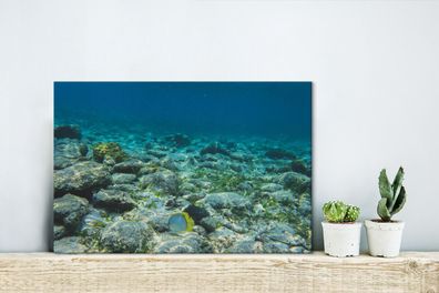 Leinwandbilder - 30x20 cm - Das Riff des Glover's Reef in Belize (Gr. 30x20 cm)