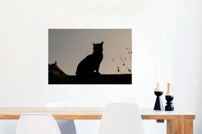 Glasbilder - 60x40 cm - Katze - Dunkelheit - Zaun (Gr. 60x40 cm)