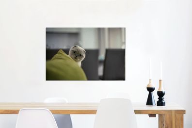 Leinwandbilder - 60x40 cm - Katze - Augen - Kissen (Gr. 60x40 cm)
