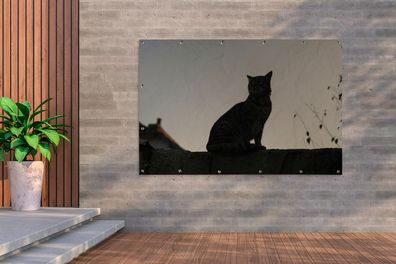 Gartenposter - 180x120 cm - Katze - Dunkelheit - Zaun (Gr. 180x120 cm)