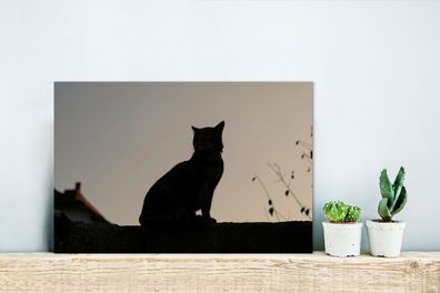 Glasbilder - 30x20 cm - Katze - Dunkelheit - Zaun (Gr. 30x20 cm)