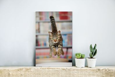 Glasbilder - 20x30 cm - Katze - Frühling - Stuhl (Gr. 20x30 cm)