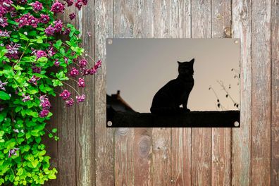 Gartenposter - 90x60 cm - Katze - Dunkelheit - Zaun (Gr. 90x60 cm)