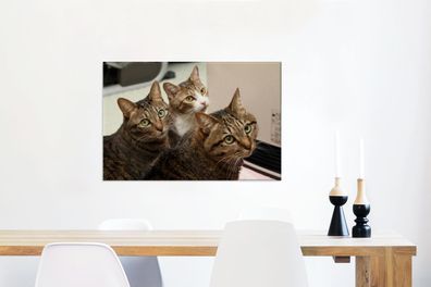 Leinwandbilder - 90x60 cm - Katze - Braun (Gr. 90x60 cm)