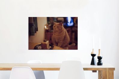 Leinwandbilder - 90x60 cm - Katze - Geburtstag - Kerze (Gr. 90x60 cm)