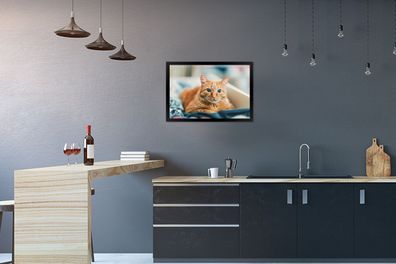 Poster - 60x40 cm - Katze - Kleidung - Schrank (Gr. 60x40 cm)