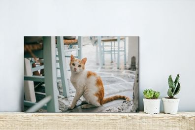 Leinwandbilder - 30x20 cm - Katze - Stuhl - Boden (Gr. 30x20 cm)