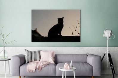 Leinwandbilder - 140x90 cm - Katze - Dunkelheit - Zaun (Gr. 140x90 cm)