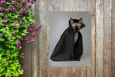 Gartenposter - 30x40 cm - Katze - Umhang - Schwarz (Gr. 30x40 cm)