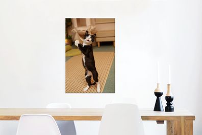 Leinwandbilder - 40x60 cm - Katze - Wohnzimmer - Schwarz (Gr. 40x60 cm)