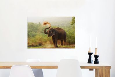 Glasbilder - 60x40 cm - Reinigung Elefant (Gr. 60x40 cm)