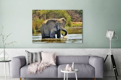 Leinwandbilder - 120x80 cm - Badender Elefant (Gr. 120x80 cm)