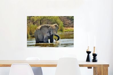Glasbilder - 90x60 cm - Badender Elefant (Gr. 90x60 cm)