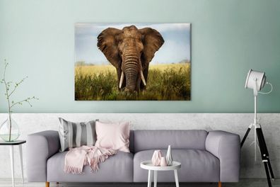 Leinwandbilder - 140x90 cm - Bedrohender Elefant (Gr. 140x90 cm)