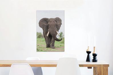 Leinwandbilder - 60x90 cm - Entgegenkommender Elefant (Gr. 60x90 cm)
