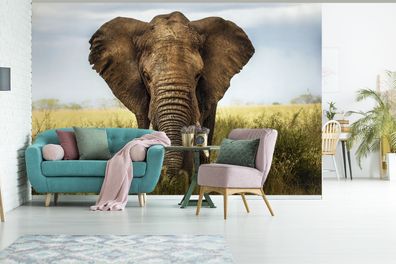 Fototapete - 360x240 cm - Bedrohender Elefant (Gr. 360x240 cm)