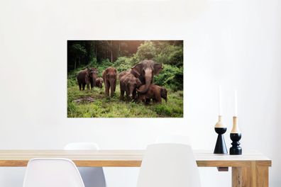 Glasbilder - 90x60 cm - Elefanten aus dem Wald (Gr. 90x60 cm)