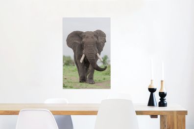 Glasbilder - 40x60 cm - Entgegenkommender Elefant (Gr. 40x60 cm)