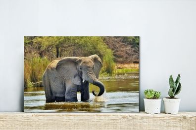 Leinwandbilder - 30x20 cm - Badender Elefant (Gr. 30x20 cm)