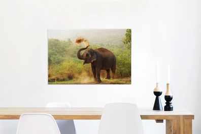 Leinwandbilder - 90x60 cm - Reinigung Elefant (Gr. 90x60 cm)