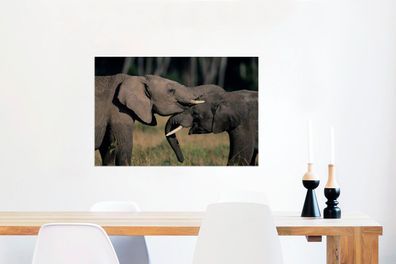 Glasbilder - 60x40 cm - Fließende Elefanten (Gr. 60x40 cm)